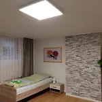 Albi Haus Apartment