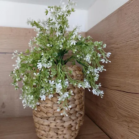 Albi Haus Appartement *