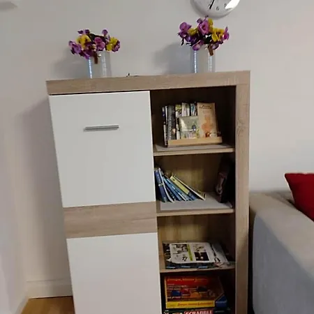 Albi Haus Apartment