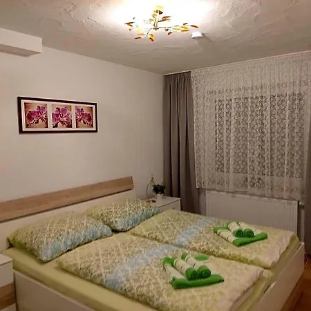 Albi Haus Apartment
