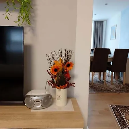 Albi Haus Apartment *