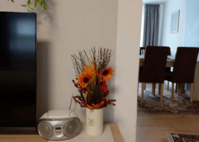 Albi Haus Appartement *